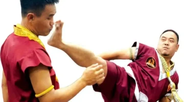 تخصص جديد.. خبير يبتكر أطباقًا مبتكرة تثير اهتمام الطهاة